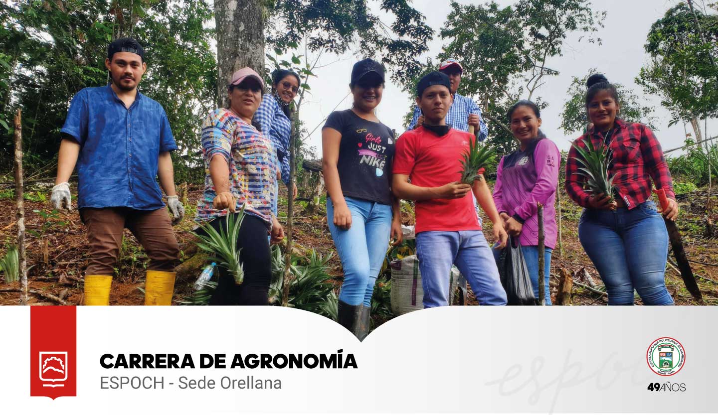 ESTUDIANTES DE LA CARRERA DE AGRONOMIA, ELABORAN ENSAYOS CON CULTIVOS AMAZONICOS EN LA FINCA EXPERIMENTAL DE LA ESPOCH-SEDE ORELLANA UBICADA EN EL SECTOR DE LA BELLEZA.